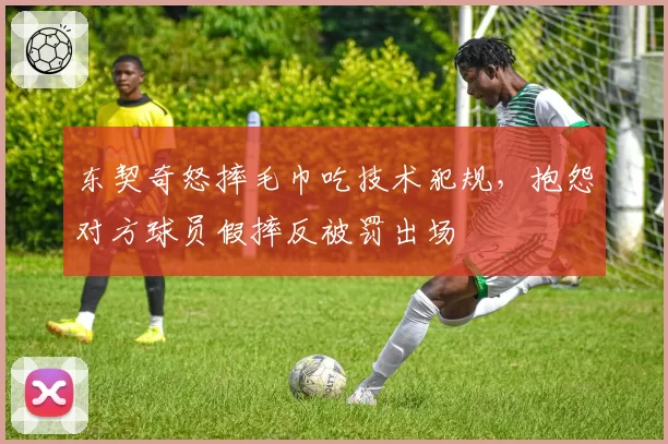 东契奇怒摔毛巾吃技术犯规,抱怨对方球员假摔反被罚出场