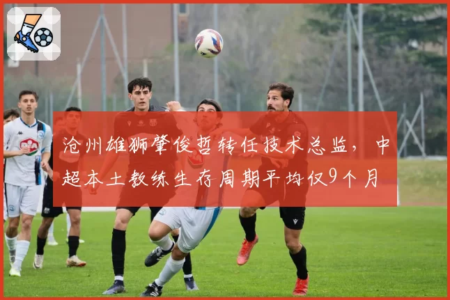沧州雄狮肇俊哲转任技术总监，中超本土教练生存周期平均仅9个月