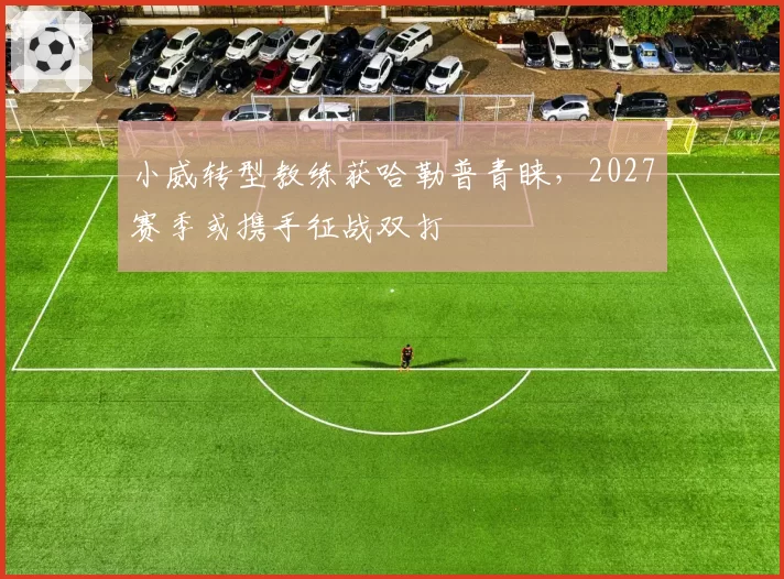 小威转型教练获哈勒普青睐，2027赛季或携手征战双打