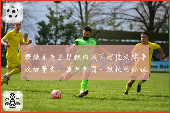 樊振东与王楚钦内战因遮挡发球争议被警告，裁判判罚一致性对比仅六成