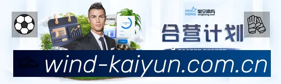 开云App预览